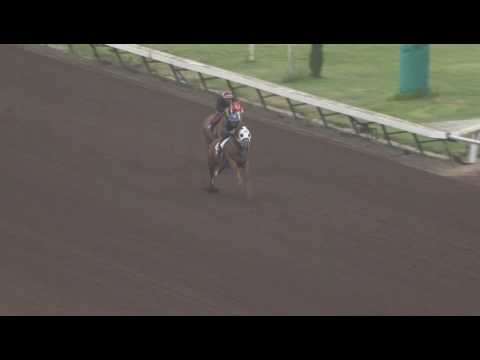 Heza Dasha Fire Looks Awesome in Workout - 7/1/17