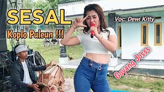 Download lagu SESAL | Koplo Puleun ❗❗❗ | Voc: Dewi Kitty | BBS MUSIC mp3