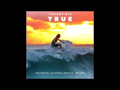 Freaky DJs feat. Coldway, KaktuZ, Delaud - True