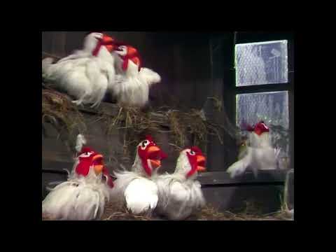 The Muppet Show - 411: Lola Falana - “Pick a Little, Talk a Little/Goodnight Ladies” (1979)