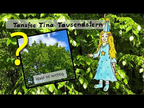 Warum ist der Wald so wichtig? Wissen für Kinder
