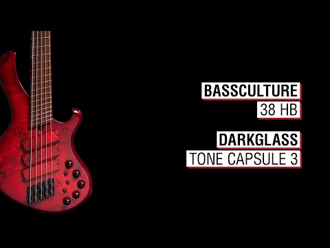 Bassculture 38 HB + Darkglass Tone Capsule 3 - Frog 5a Multiscale