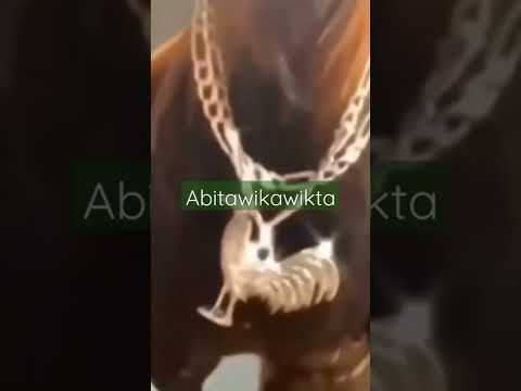 invincible Eddie Vedder