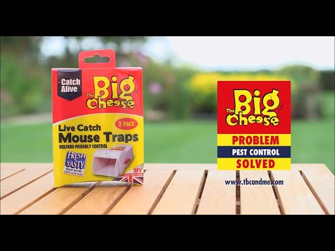 The Big Cheese Live Catch Mouse Traps - Twin Pack - STV155