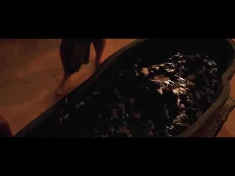 Flesh-Eating Scarab Beetles Compilation -The Mummy