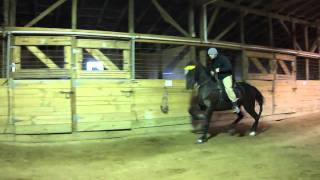 preview picture of video 'Dream Flat Shod in the barn Sound 2/4/11'