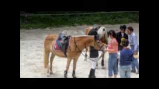 Video von Diabolo 284