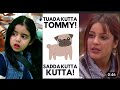 Sadda Kutta Kutta Shehnaz Gill Tuada Kutta Tommy Sada Kutta Kutta Tuhada Kutta Tommy Tommy