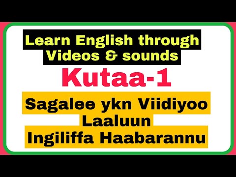 Sagalee fii Viidiyoorraa Ingiliffa Haabarannu @furtuu1
