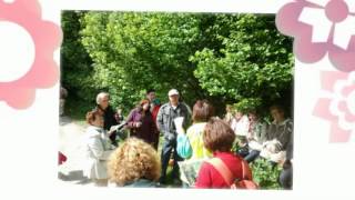 preview picture of video 'Sortie nature Fleurs d'été autour d'Anceaumeville le 9 juin 2012.mp4'