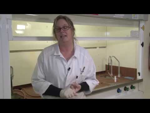 Organic Chemistry: Identifying Unknown Organic Compounds Lassaigne's Sodium Fusion Test