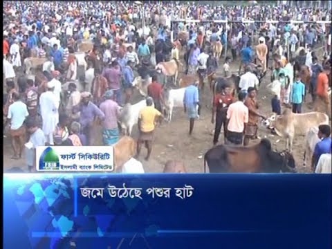 জমে উঠেছে পশুর হাট