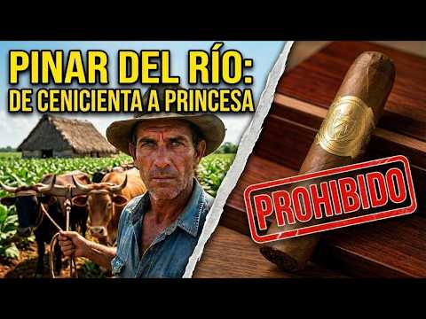 De CENICIENTA a PRINCESA: El SECRETO de PINAR DEL RÍO y la ORDEN REAL de ISABEL II