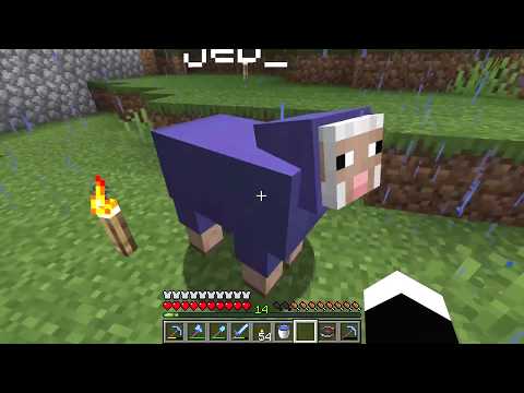 How to make the Rainbow sheep - Minecraft - YouTube