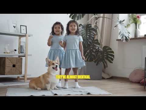 Donut Lab Battery Claims Under Scrutiny