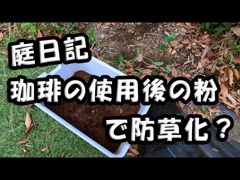 庭のコーヒーかすで避けるべき間違い