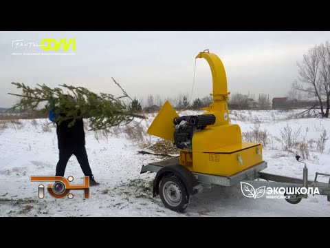 Утилизируем ёлки правильно!