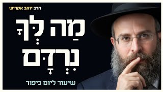 נמאס לי לחזור להיות מי שהייתי • סוד פריצת המחיצות | שיעור ליום כיפור (הרב יואב אקריש) - התמונה מוצגת ישירות מתוך אתר האינטרנט יוטיוב. זכויות היוצרים בתמונה שייכות ליוצרה. קישור קרדיט למקור התוכן נמצא בתוך דף הסרטון