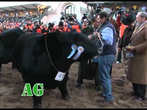 Viernes 24 de Agosto de 2012