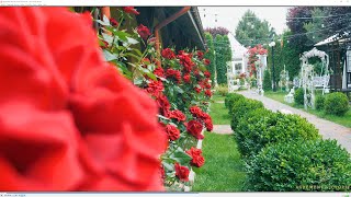 Agrement Victoria iunie 2024