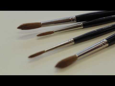 Diana Brush Range by Daler-Rowney - Introduction