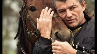 Željko Malnar - Festival ljubavi (full HD)