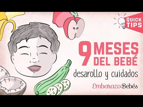download lagu mp3 mp4 Estimulacion Temprana Para Bebes De 9 Meses, download lagu Estimulacion Temprana Para Bebes De 9 Meses gratis, unduh video klip Estimulacion Temprana Para Bebes De 9 Meses