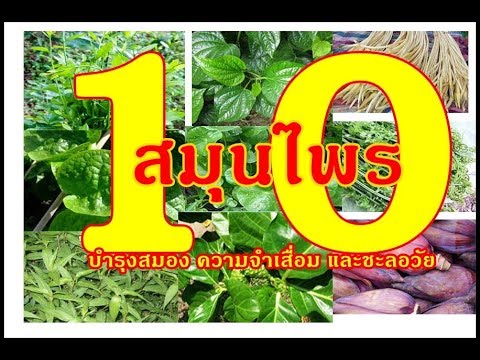 ผลิตภัณฑ์เพิ่มความแรง บอสคิดเห็นยาแรง