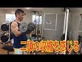 二頭のトレーニング