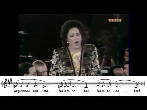 Suicidio   NO CHEST vs CHEST