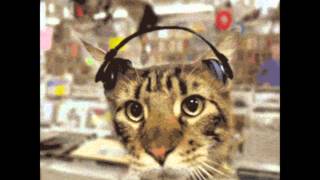 Yoshida Brothers - Storm