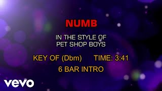 Pet Shop Boys - Numb (Karaoke)