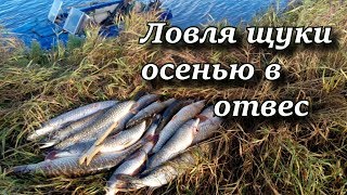 Ловля щуки осенью в отвес