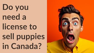 Do you need a license to sell puppies in Canada?