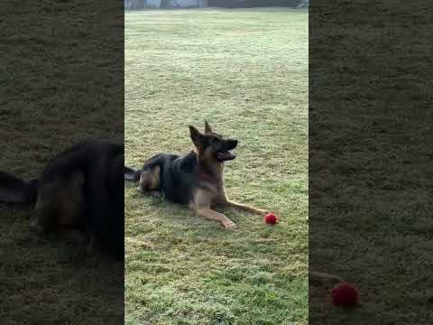 We bought a steam engine.