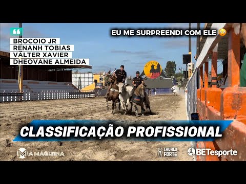 Live Vaquejada - Professional Classification, Milanny Park