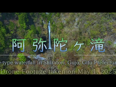 残雪と新緑が美しい「阿弥陀ヶ滝」4K動画　Amida Falls, adorned with lingering snow and vibrant new green leaves.