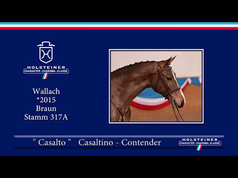 Holsteiner Frühjahrsauktion 2019 | Nr. 105 - Casalto v. Casaltino - Contender