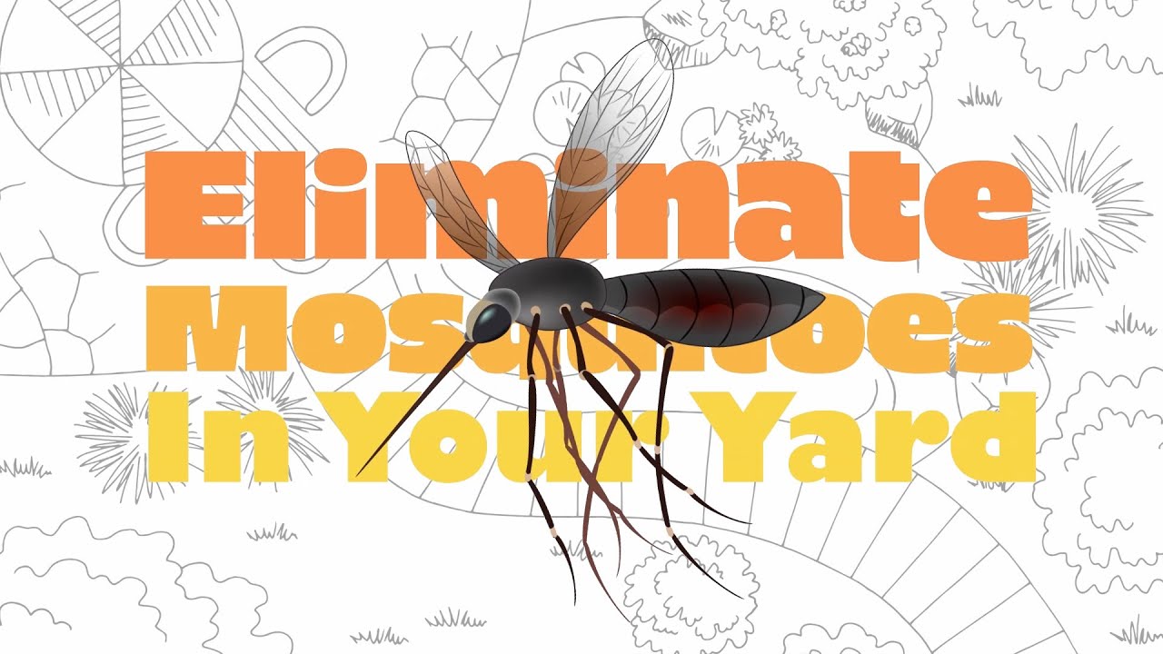 Vector Control Program