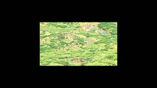 DJ Sir Spyro - Dead (Instrumental)