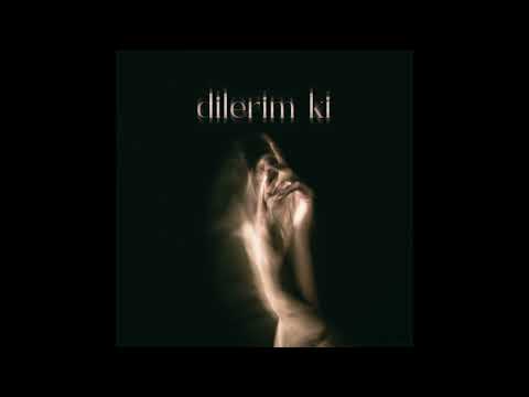 Dolu Kadehi Ters Tut - Dilerim Ki on Spotify Charts