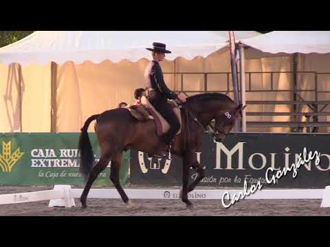 Afonso Resina Antunes & Importante Da Broa P  Doma