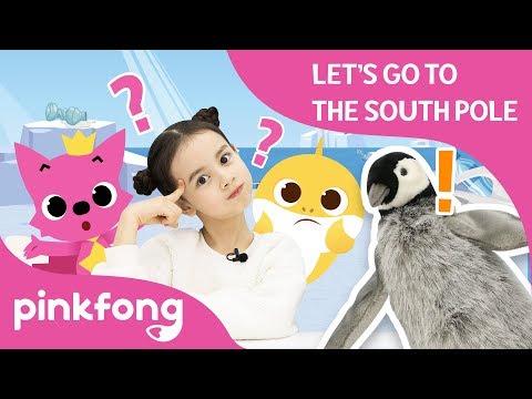 Pinkfong Baby Shark