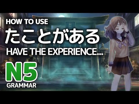 「たことがある」- Have experience... - JLPT N5 Grammar ┃ Genki Lesson 11