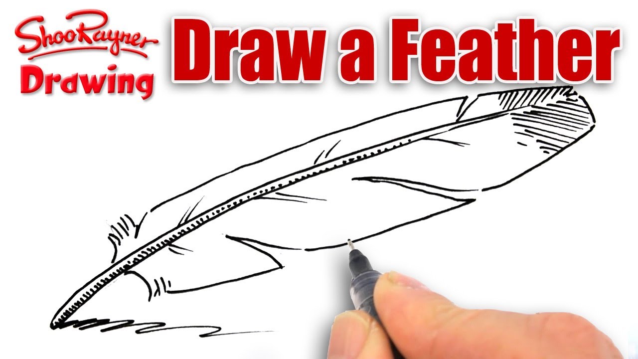 How to draw a feather