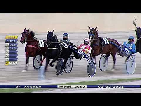 Aversa trotto 3 Febbraio 2021 - 3° Corsa