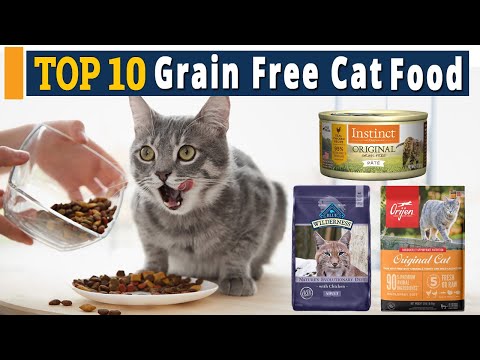 Top 10 Best Grain Free Cat Food Review in 2021