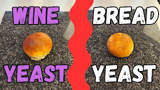 "Can Wine Yeast Make Bread?"✅