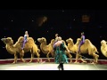 Ringling Bros Presents Circus XTREME Desert Goddesses Camels