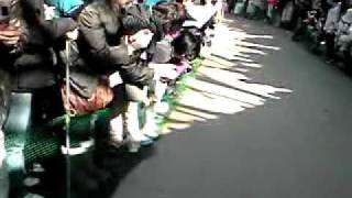 preview picture of video 'ウリ坊とミワちゃん 福知山市動物園'